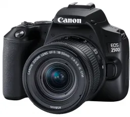 Отзыв на Фотоаппарат Canon EOS 250D Kit: хороший, отсутствие, дорогой, простой