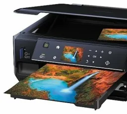 Отзыв на МФУ Epson Expression Premium XP-600: отвратительный, чёрный, заявленный, верный