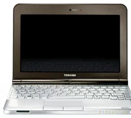 Отзыв на Ноутбук Toshiba NB200-10Z: лёгкий, реальный, яркий, системный