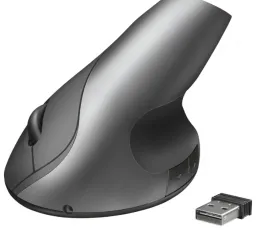 Отзыв на Мышь Trust Varo Wireless Ergonomic Mouse Black USB: идеальный, верхний, слабый, единственный