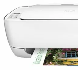 МФУ HP DeskJet Ink Advantage 3635, количество отзывов: 10