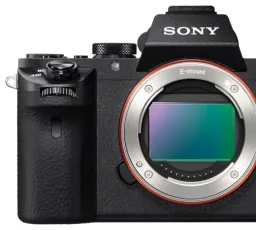 Фотоаппарат со сменной оптикой Sony Alpha ILCE-7M2 Body, количество отзывов: 9