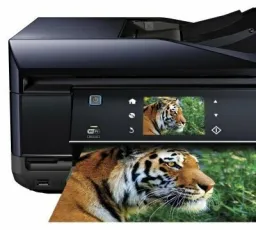 МФУ Epson Expression Premium XP-800, количество отзывов: 9