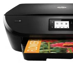 МФУ HP DeskJet Ink Advantage 5575, количество отзывов: 10